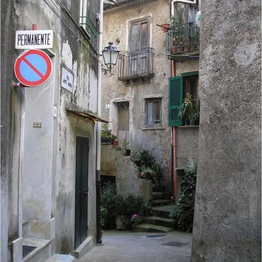 A narrow stone alley in the historic centre of Lago, Calabria, with green shutters, potted plants and worn steps